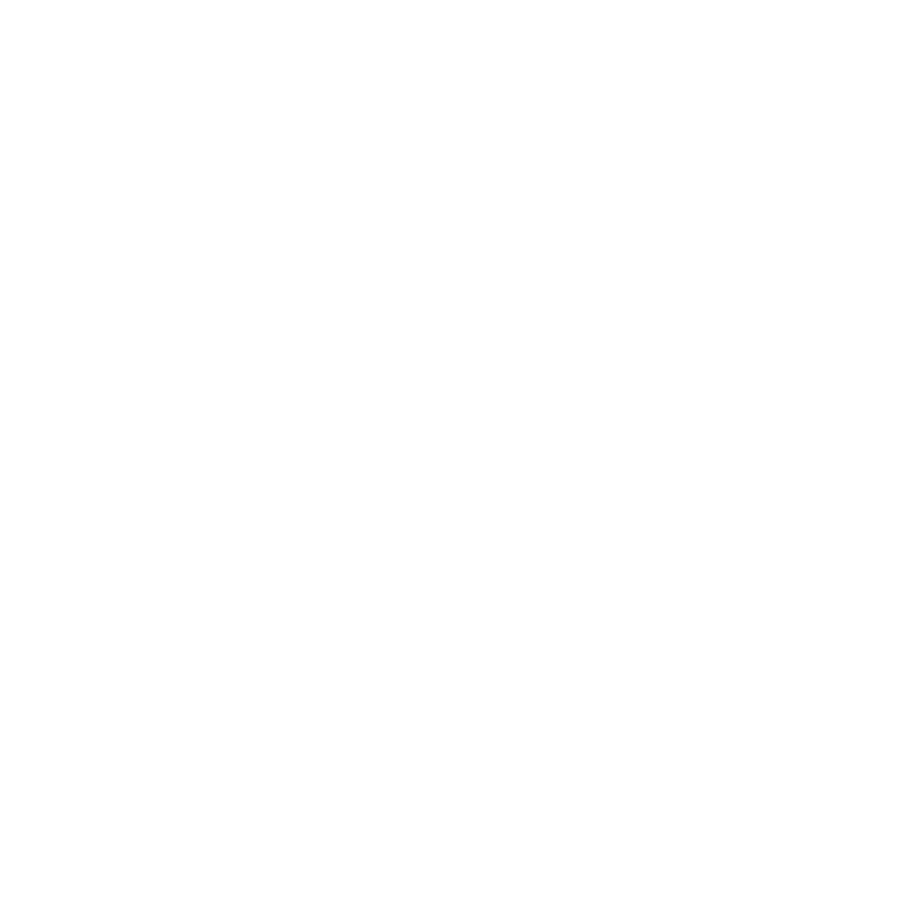 Animated logo of RANDOM plugin