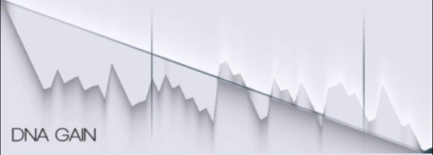 DNA Gain envelope with a jagged, fractalized shape
