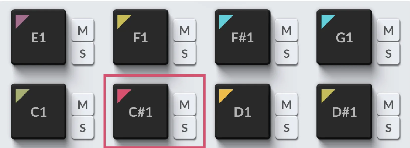 The 8 pads from C1 to G1, each with Mute and Solo buttons