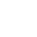 White logo of RANDOM plugin